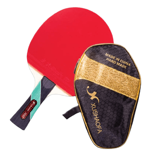 Paleta Ping pong 6008 Xushaofa