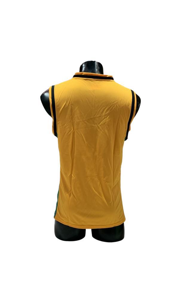 Camiseta mundial varón oro/verde/negro