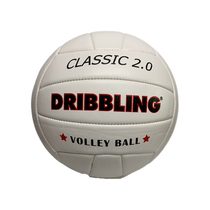 Balón Voleibol 2.0