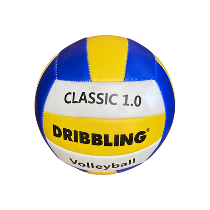 Balón Voleibol 1.0