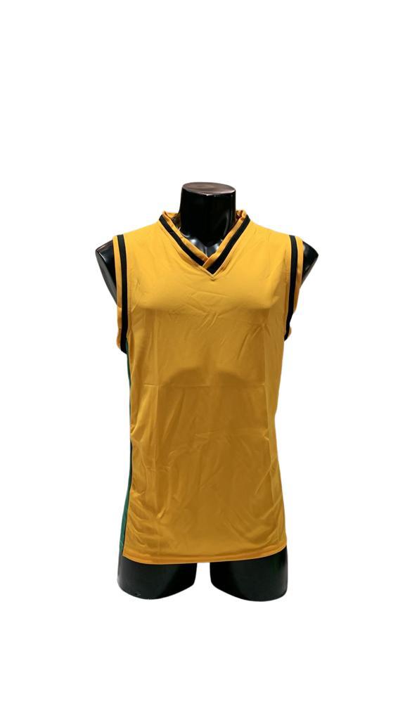 Camiseta mundial varón oro/verde/negro