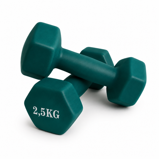 Mancuerna metal 2,5KG c/u