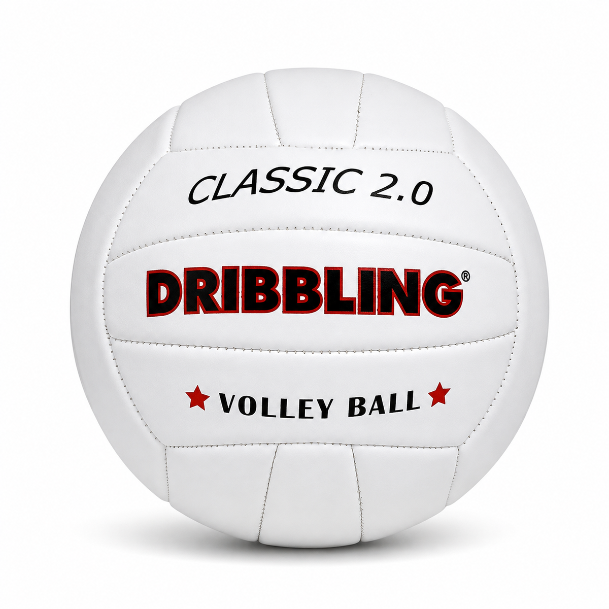 Balón Voleibol 2.0