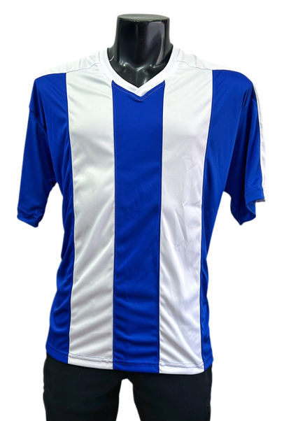 Camiseta rayada Azul - Blanco