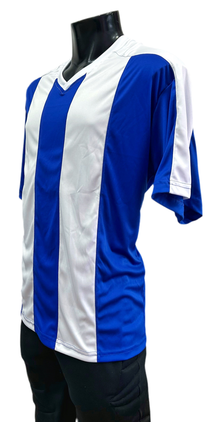 Camiseta rayada Azul - Blanco