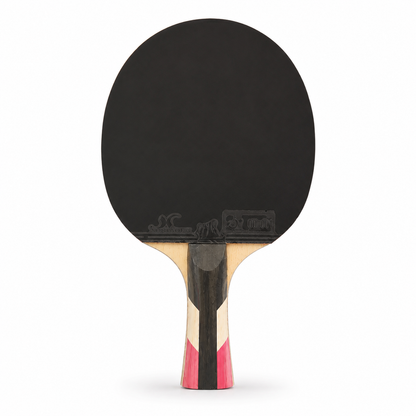Paleta Ping Pong Xushaofa 9008 Profesional