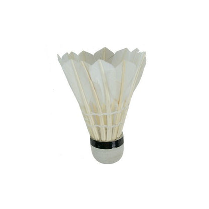 Plumillas Bádminton